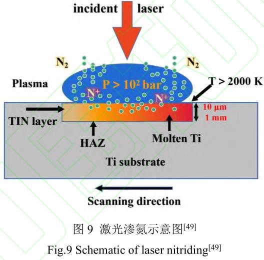 鈦合金鍛件棒材的滲氮工藝及機(jī)理研究進(jìn)展 鈦合金鍛件棒材的滲氮工藝及機(jī)理研究進(jìn)展