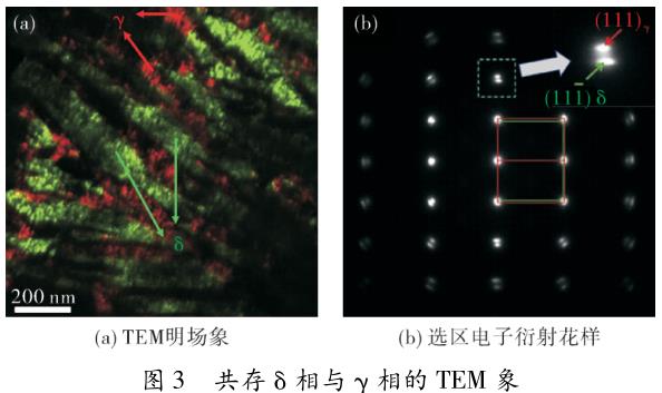 鋯合金中氫化物的研究進展