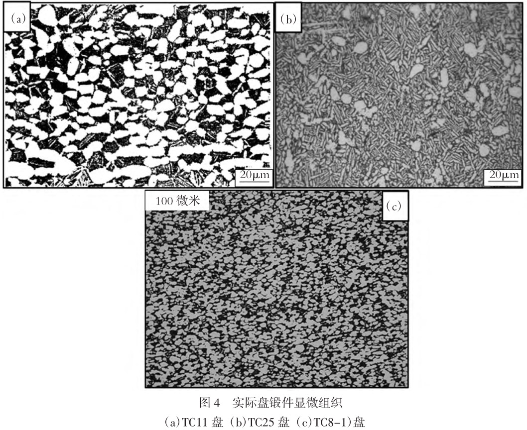 1713519656388463.jpg t4.jpg