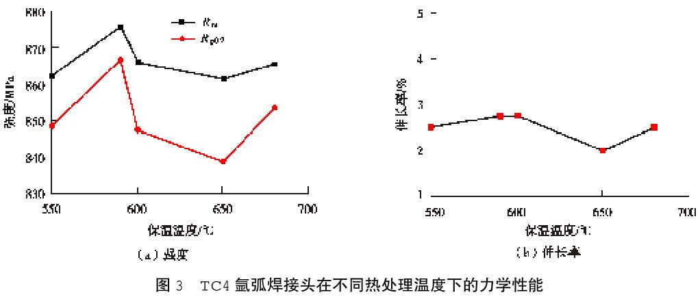 1705807583635307.jpg t3.jpg