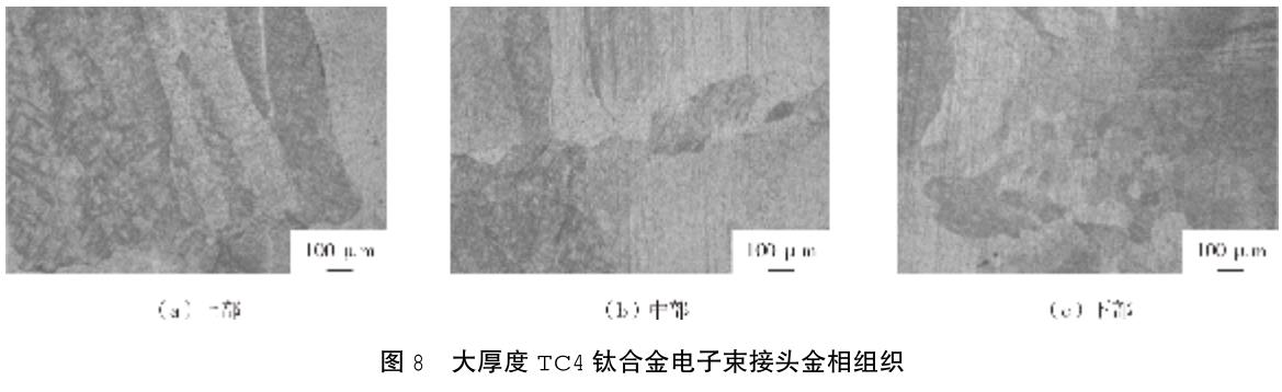 1705807754455334.jpg t8.jpg