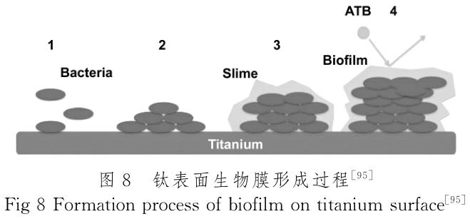 1720340217222758.jpg t8.jpg