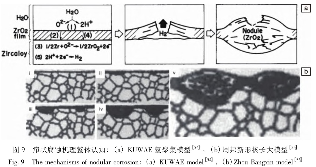 1729418766421676.jpg 9.jpg