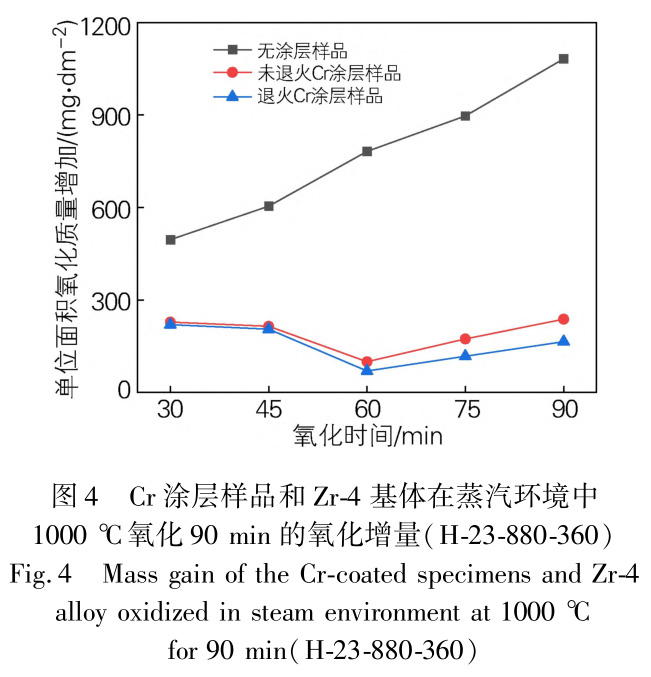 1729500913734079.jpg 4.jpg