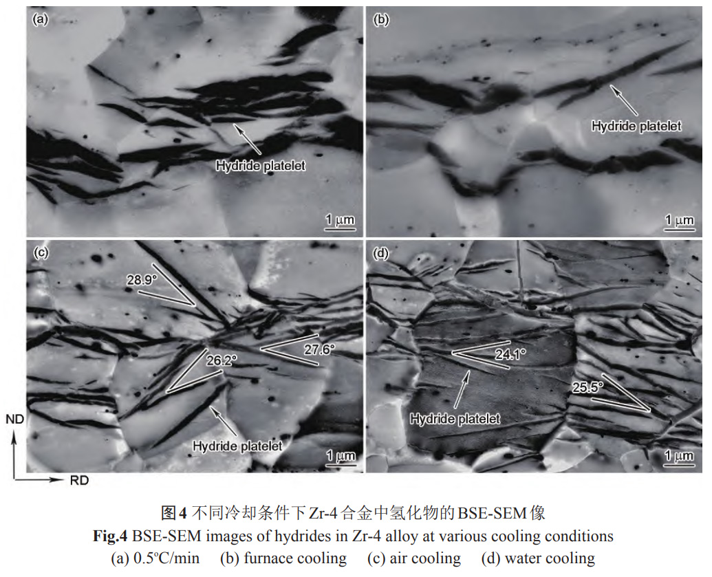 1734144465230785.jpg 4.jpg